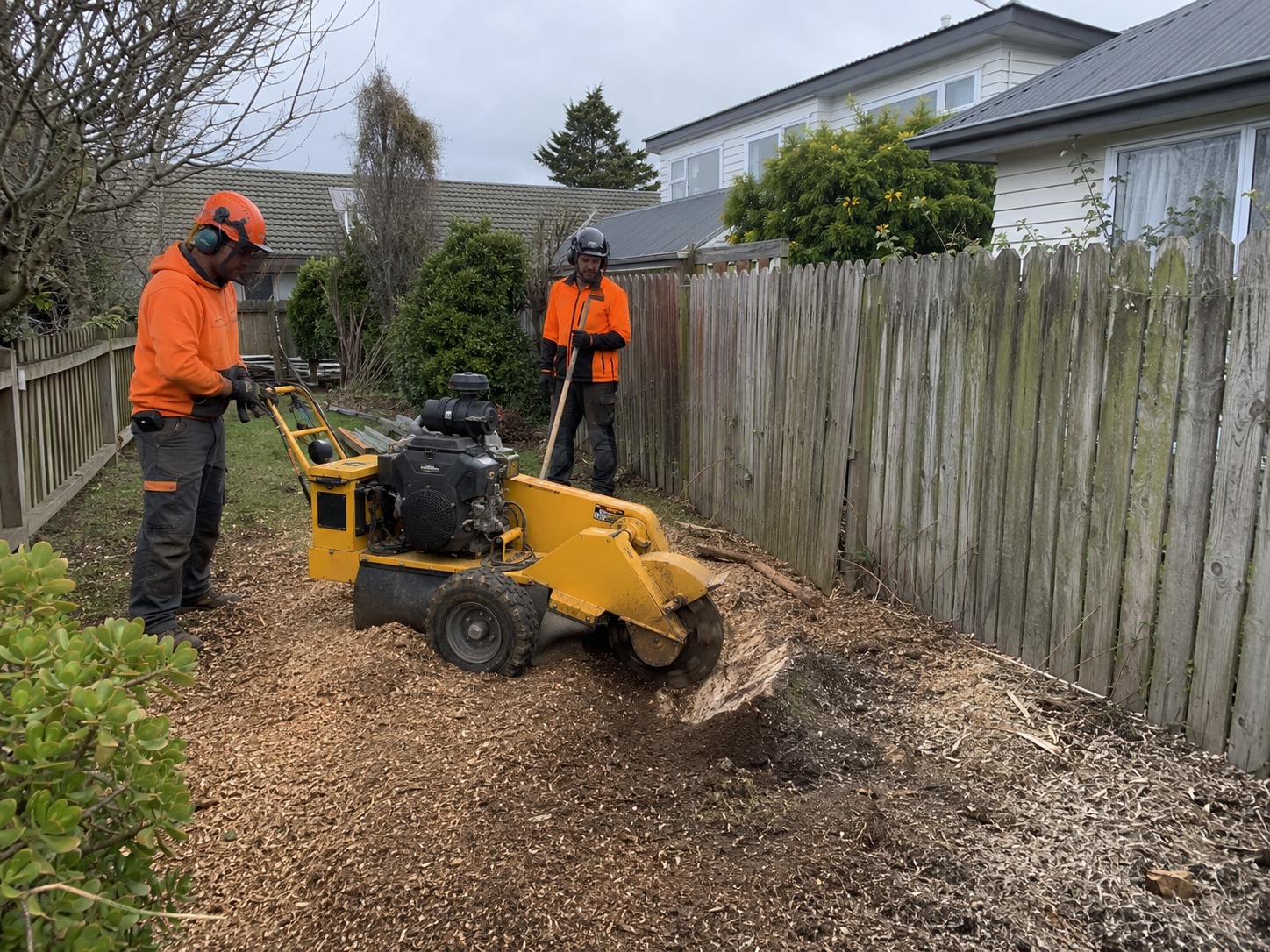 stump grinding contractors christchurch